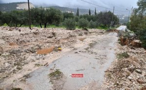 Έκτακτη στήριξη στους αγρότες Κεφαλονιάς και Ιθάκης που επλήγησαν από φυσικές καταστροφές – Άνοιξε η υποβολή αιτήσεων
