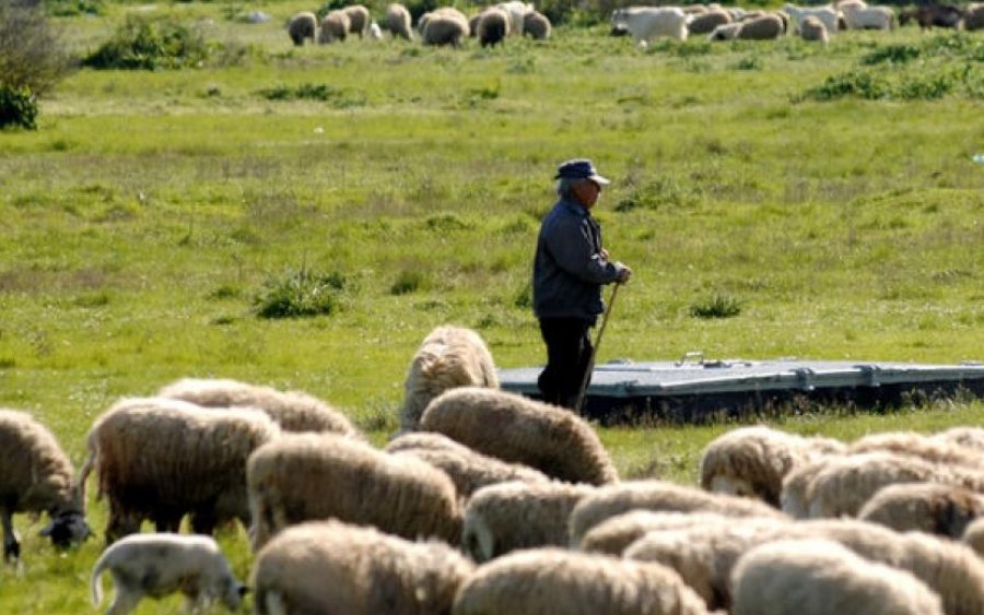 Ε.Α.Σ.: Το «φιλί της ζωής» στους ντόπιους αγροκτηνοτρόφους