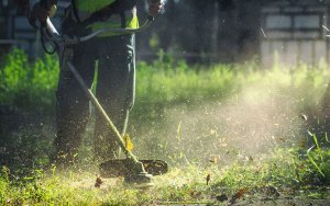 Ο Δήμος Σάμης ενημερώνει για τον καθαρισμό των οικοπέδων ενόψει της αντιπυρικής περιόδου