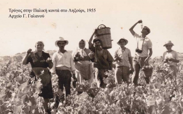 «Ο τρύγος του Αλέπορου» μια μικρή λαϊκή κεφαλληνιακή όπερα