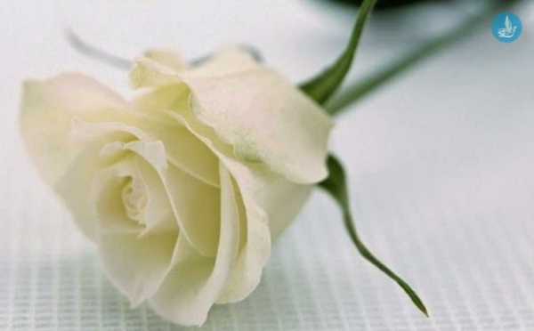 Σήμερα η εξόδιος ακολουθία του Αντώνη Δίλαλου