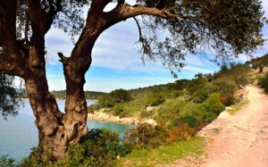 Ασφαλτοστρώσεις δρόμων στην Ιθάκη