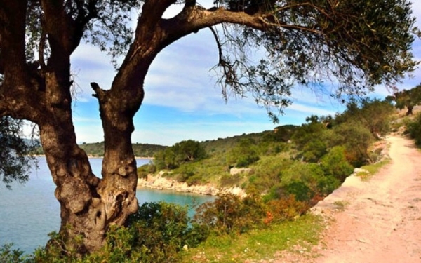 Ασφαλτοστρώσεις δρόμων στην Ιθάκη
