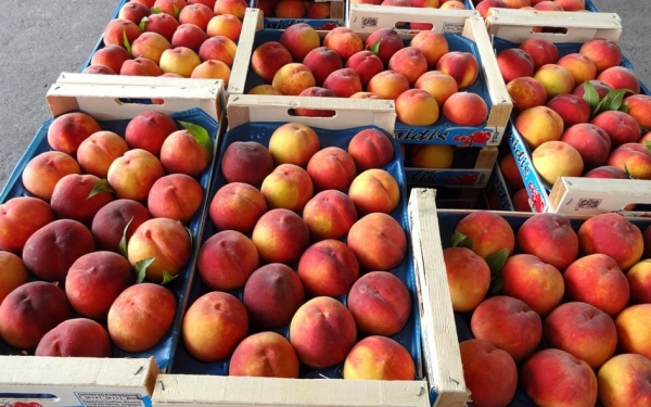 Σήμερα διανομή φρούτων από τον Σύλλογο Τρίτεκνων Κεφαλονιάς και Ιθάκης