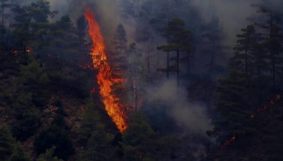 Στο έλεος της χειρότερης φωτιάς των τελευταίων ετών για τέταρτη ημέρα η Κύπρος (βίντεο)