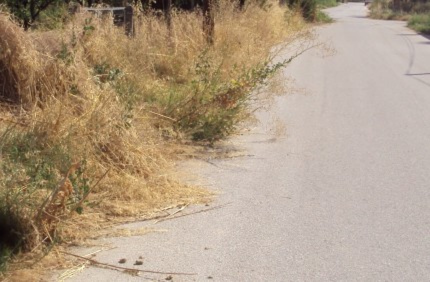 Γιατί οι κεντρικοί δρόμοι της Σκάλας δεν έχουν ακόμα καθαριστεί από τα χόρτα;