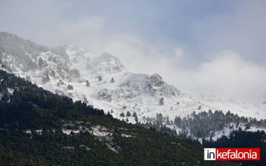 Στα Λευκά ντύθηκε ο Αίνος (εικόνες)