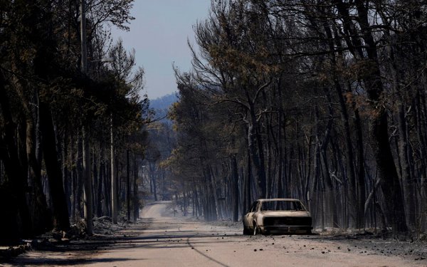 Ζάκυνθος: Τέσσερα χρόνια φυλάκιση σε εμπρηστή