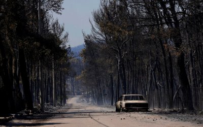 Ζάκυνθος: Τέσσερα χρόνια φυλάκιση σε εμπρηστή