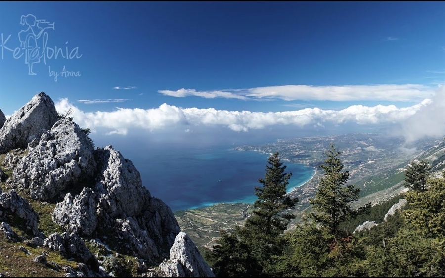 Ενημέρωση σχετικά με τις εκτεταμένες ανεμορριψίες στην περιοχή του Εθνικού Δρυμού Αίνου