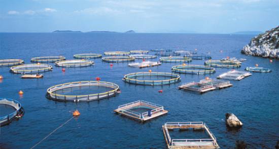 Δικαστική απόφαση - σταθμός για τις ιχθυοκαλλιέργειες