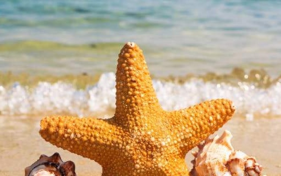 Let the summer begin: Θερινό Ηλιοστάσιο 2018, ξεκινά σήμερα και επίσημα το καλοκαίρι