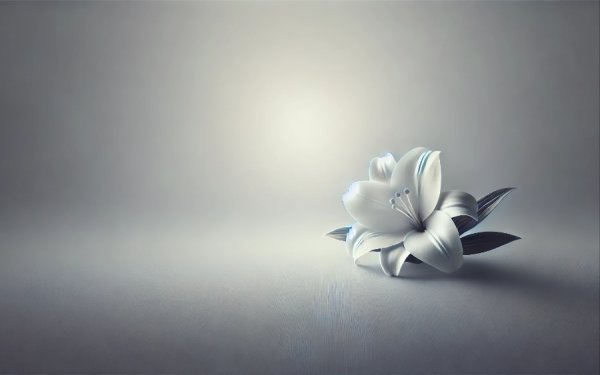 Με λόγια καρδιάς, η οικογένεια της Ευαγγελίας Νιφοράτου ευχαριστεί Νοσοκομείο και Γηροκομείο