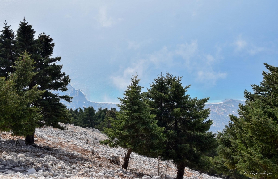 Παράταση απαγόρευσης κυκλοφορίας οχημάτων και  εκδρομέων στον Αίνο