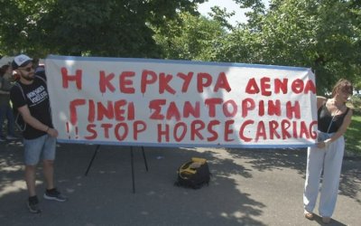 Κέρκυρα: Ξεσπούν οι φιλόζωοι για το νεκρό άλογο – «Φωνάζουμε χρόνια για τις άμαξες»