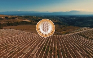 Ε.Α.Σ.: Τρέχουν οι ενστάσεις κατά της επιστροφής Επιδοτήσεων που ζητά ο ΟΠΕΚΕΠΕ