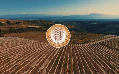 Ε.Α.Σ.: Τρέχουν οι ενστάσεις κατά της επιστροφής Επιδοτήσεων που ζητά ο ΟΠΕΚΕΠΕ