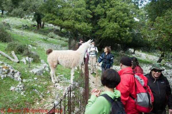 Εικόνες από την εκδρομή του Ορειβατικού σε Αγ. Ευφημια - Ταρκασάτα - Θέματα - Δρακοπουλάτα