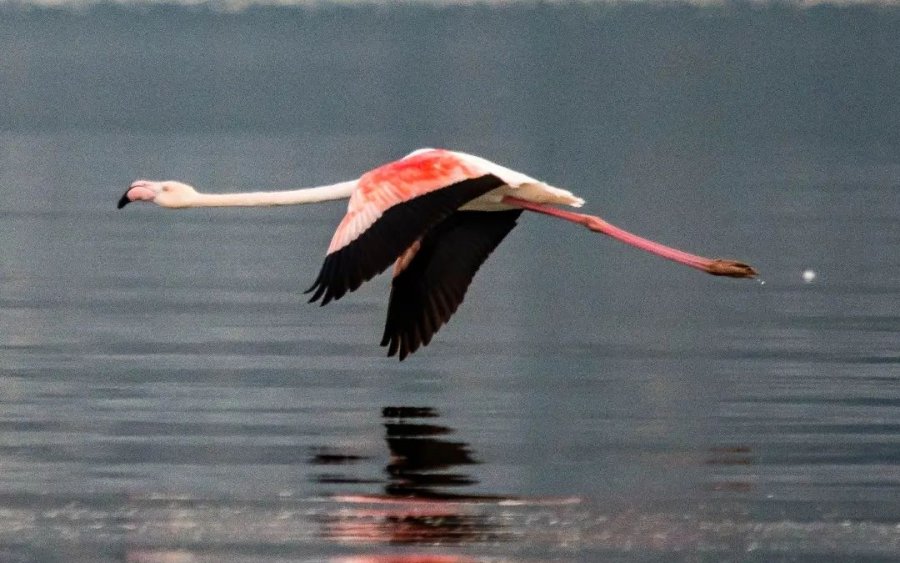 Οι δικές σας Κεφαλονίτικες φωτογραφίες στο Instagram - #inkefaloniagr- (4/1)