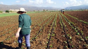 Ε.Α.Σ. : Δήλωση Αγροτικών Επιδοτήσεων και Μητρώο Αγροτών
