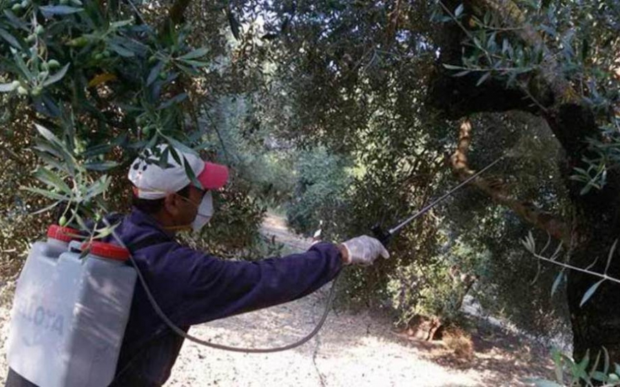 Περιφέρεια: Β' Δολωματικός ψεκασμός Προγράμματος Δακοκτονίας 2020