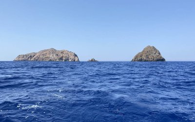 Εθνικό θαλάσσιο πάρκο Ιονίου: εκτεταμένη προστασία για θαλάσσια θηλαστικά, χελώνες και κρίσιμους οικοτόπους