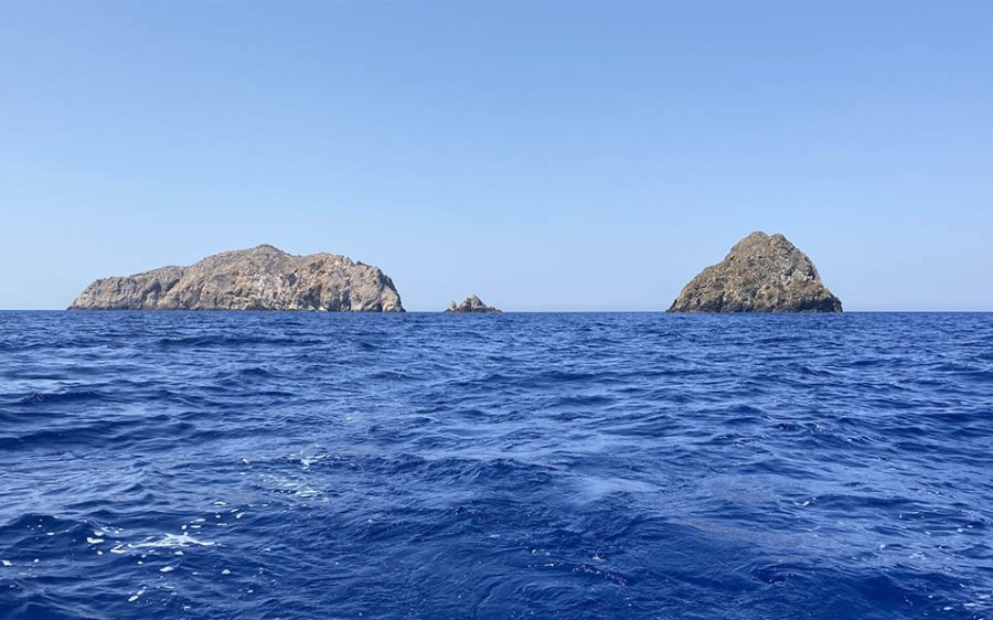 Εθνικό θαλάσσιο πάρκο Ιονίου: εκτεταμένη προστασία για θαλάσσια θηλαστικά, χελώνες και κρίσιμους οικοτόπους