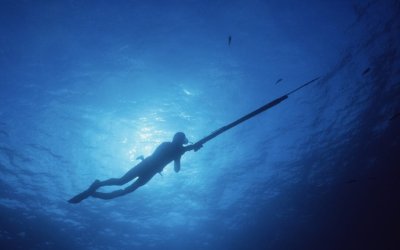 Χαλκιδική: 12χρονος τραυματίστηκε από ψαροντούφεκο – Καρφώθηκε η λόγχη στο κεφάλι του