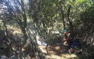 Μαρίνα Βεργωτή: Ξεκίνησαν οι εργασίες για την δημιουργία μονοπατιών εντός του Δήμου Αργοστολίου