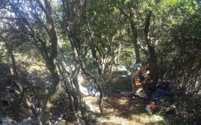 Μαρίνα Βεργωτή: Ξεκίνησαν οι εργασίες για την δημιουργία μονοπατιών εντός του Δήμου Αργοστολίου