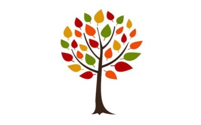 Ο ετήσιος απολογισμός του έργου του συμβουλευτικού κέντρου γυναικών δήμου Αργοστολίου για το 2019