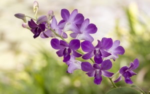 Μικέλης Μαφρέδας: Λίγες λέξεις για τον Σπύρο Αλιβιζάτο που έφυγε χθες από την ζωή