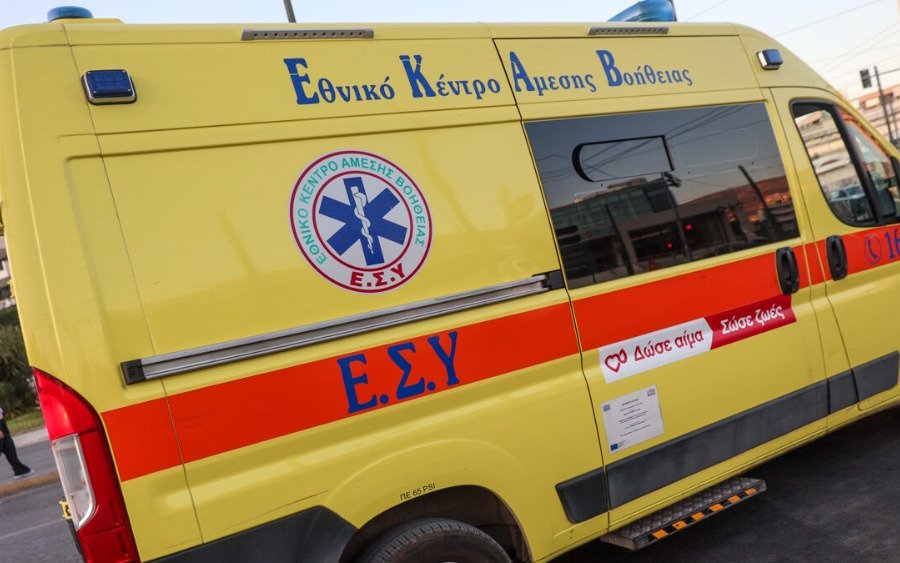 Τραγωδία στην Εύβοια: Νεκρή 21χρονη μετά από τσίμπημα σφήκας