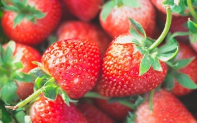 Dirty Dozen 2019: Τα 12 φρούτα και λαχανικά με τα περισσότερα φυτοφάρμακα