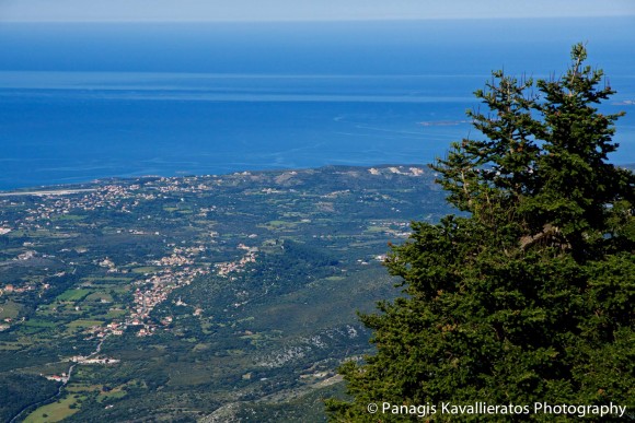 Φωτογραφία : Παναγής Καβαλλιεράτος