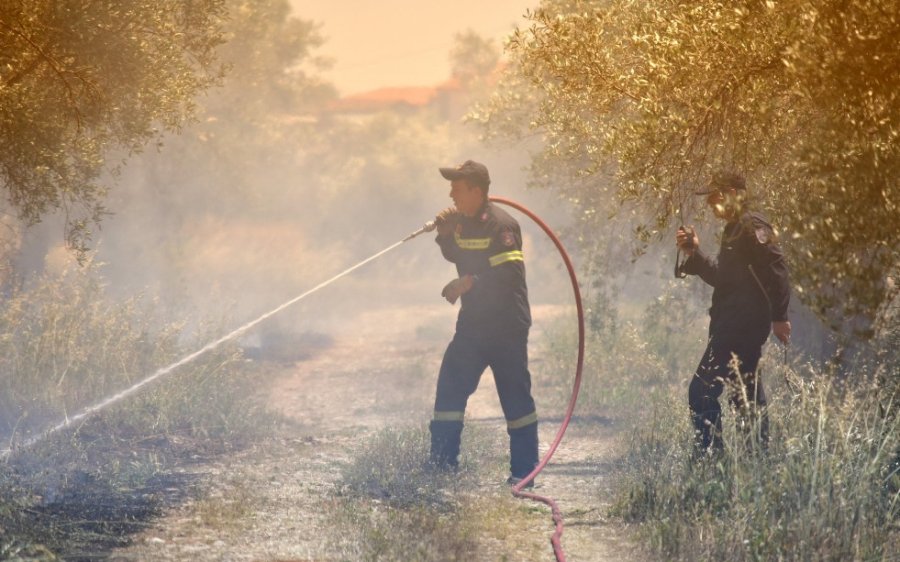 ΛΑΣΥ: «Εγκληματική αδιαφορία για την πυροπροστασία στα Ιόνια Νησιά»
