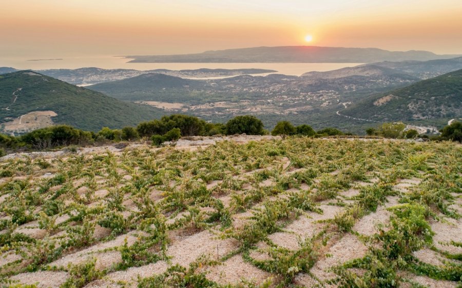 Winetrails.gr: Η επόμενη μέρα για την Κεφαλονιά