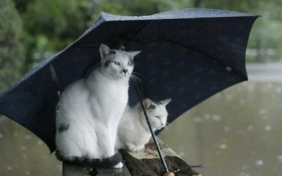 Bροχερός σήμερα ο καιρός