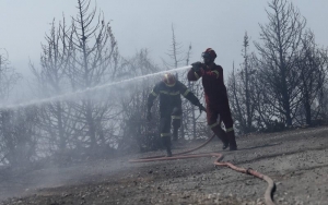 ΕΛΜΕ-ΚΙ: Συγκροτούμε εθελοντική ομάδα πυροπροστασίας